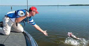 3 Ways to Land More Bass