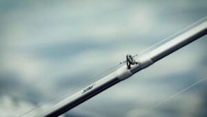 6 Benefits of Braided Fishing Line to Fluorocarbon Leaders