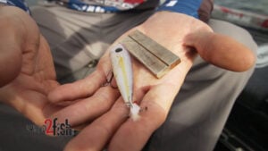How To Sharpen Fishing Hooks