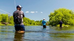 Bank Fishing River Smallmouth | Jacob Wheeler and Wired2Fish