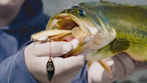 How to Fish Weedless Swimbaits for Summertime Bass