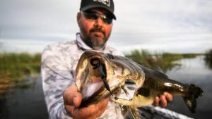 4 Spring Buzzbait Fishing Tips for Bass
