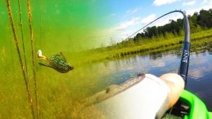 Bass Fishing New Water with Bluegill Imitation Baits