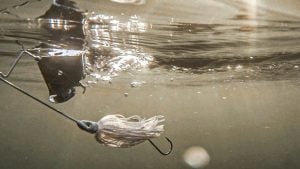 Buzzbait Setup Tips: What Size, Line, Rod and Color?