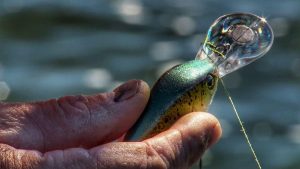 How to Fish Crankbaits in Grass without Fouling