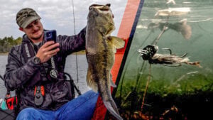 Crushing Big Bass on Magnum ChatterBaits | Fall Tactics