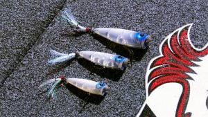 Tips for Picking the Best Topwater Popper for the Situation