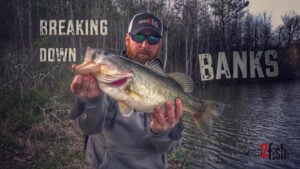 Proven Bank Fishing Tricks that Catch Bass