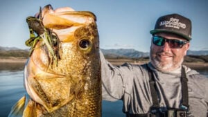 Heavy ChatterBaits for Big Offshore Bass
