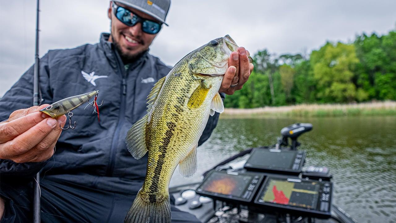 avet grouper reel Winch JX 6/3S 3-Speed Conventional Reel, Gunmetal HSCODE1 Color:Junebug Red Abu Garcia AMBASSADEUR 5600C4 Avet HXW 5/3 Raptor