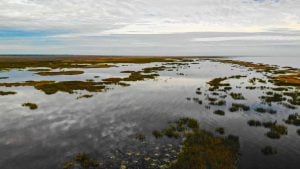 How to Find Bass Spawning Flats | Florida and Beyond