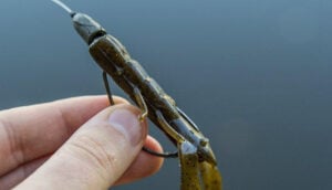 berkley-powerbait-chigger-craw-profile.jpg
