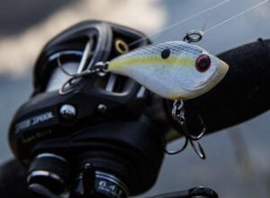 lipless-crankbait-bank-fishing.jpg