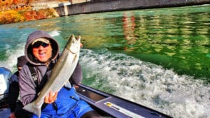 ... a really good day ...