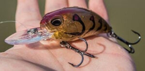 duo-realis-m65-crankbait-sharp-hooks.jpg
