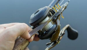 berkley-powerbait-chigger-craw-on-bass-fishing-reel.jpg