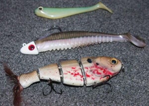 bigger-swimbaits-like-berkley-slim-shad-bull-shad.jpg
