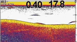 sonar-of-walleye.jpg
