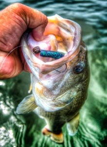 boss-brent-ehrler-shaky-head-catches-nice-bass-650px.jpg