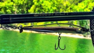 duo-spin-bait-on-elite-tech-rod.jpg