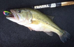 heddon-chugn-spook-in-bass-mouth.jpg