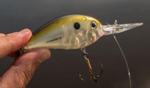 bomber-fat-free-shad-square-lip-crankbait-side-profile.jpg