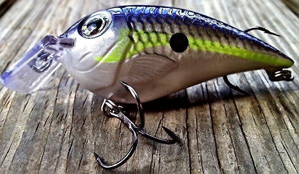rapala-crankin-rap-fishing-squarebill.jpg