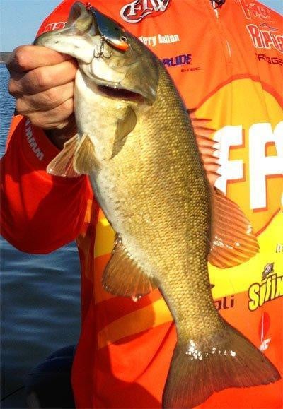 rippin-rap-smallie.jpg