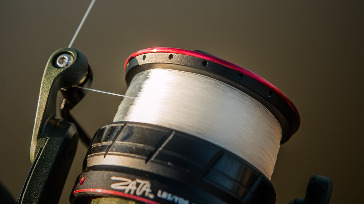 the spool of a bass fishing spinning reel