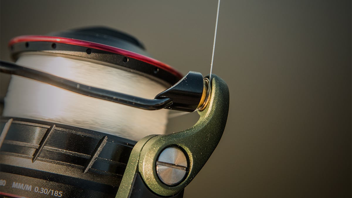bail of a spinning reel for fishing
