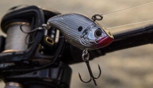 spro-aruku-shad-clipped-on-reel.jpg