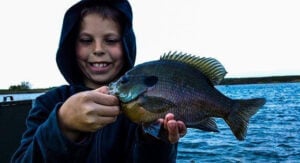 big-bull-bluegill1.jpg
