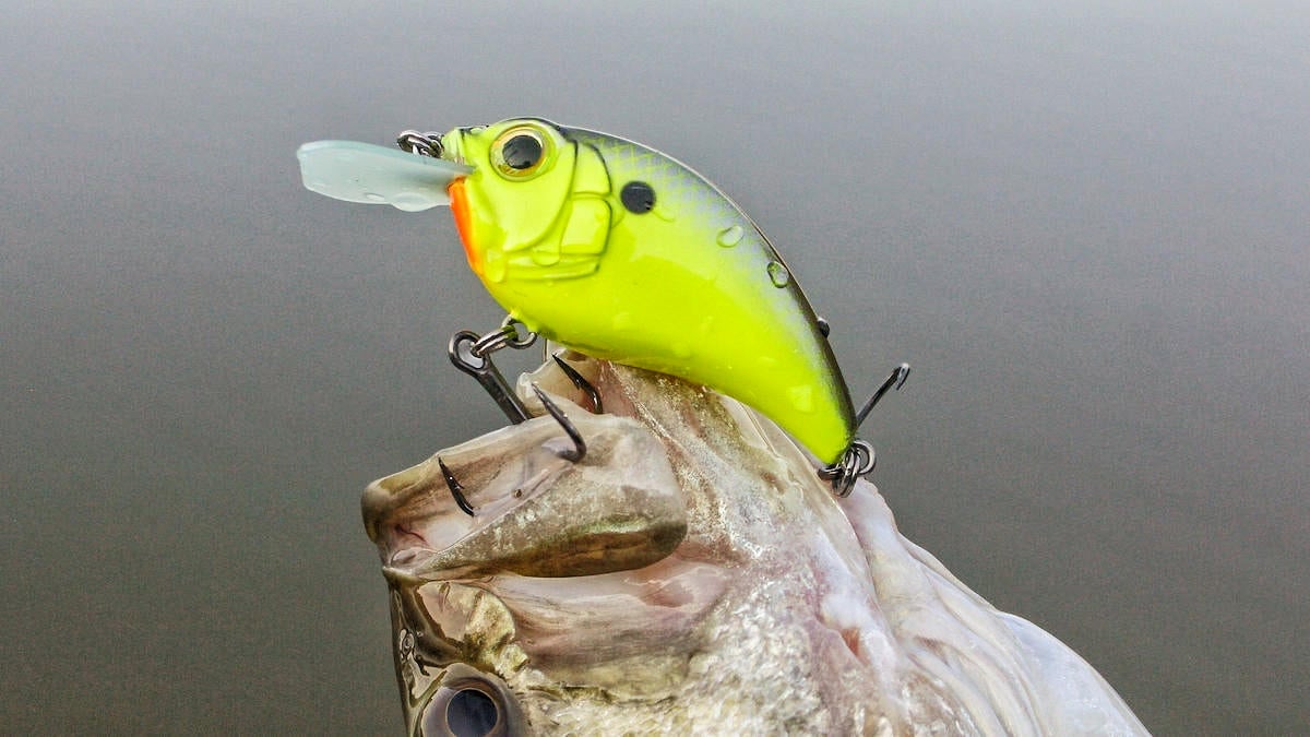 crankbait in a bass mouth