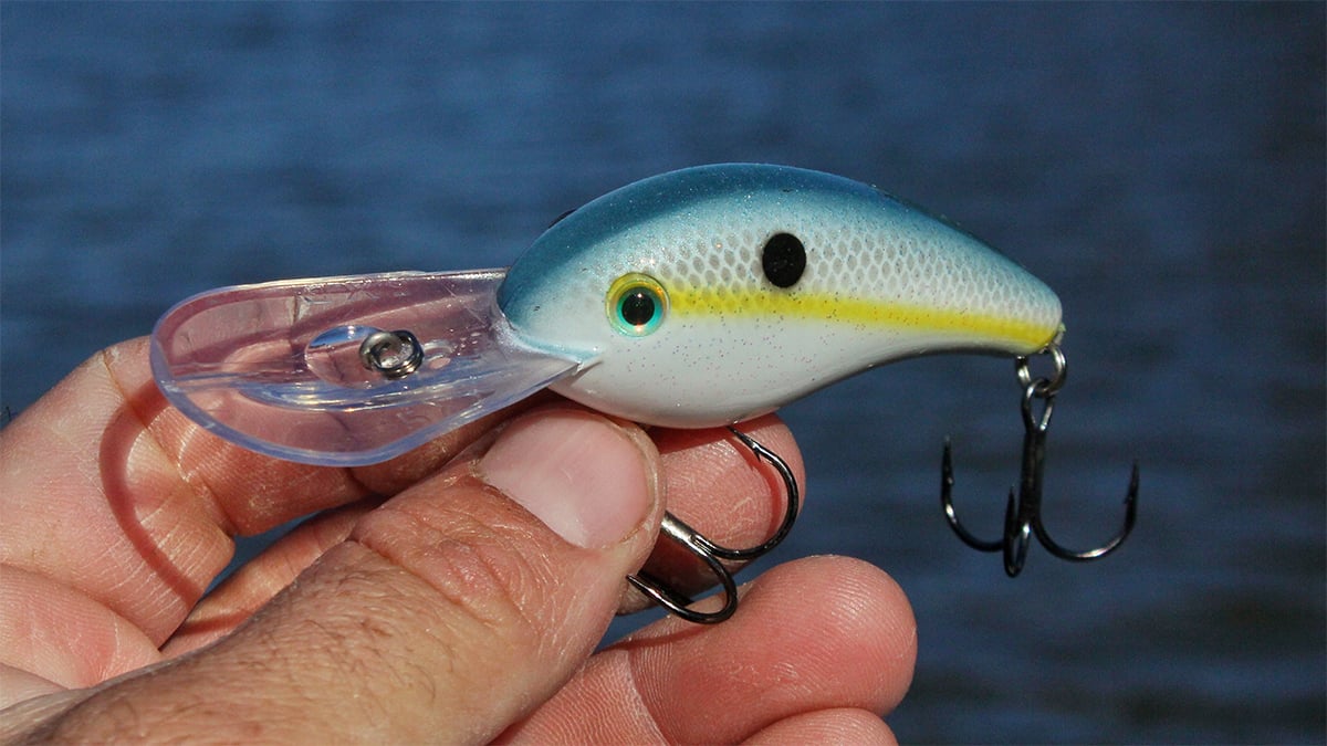 strike king 5xd crankbait for bass fishing
