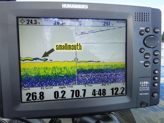 1198-smallmouth-sonar.jpg