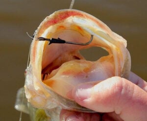 vmc-flippin-hook-catches-bass.jpg