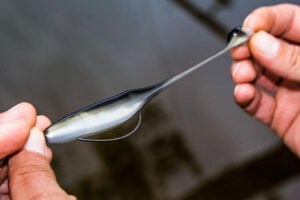 big-bite-baits-swimming-jerk-minnow-stretches.jpg