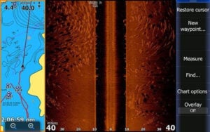 asian-carp-showing-up-on-lowrance-structure-scan.jpg