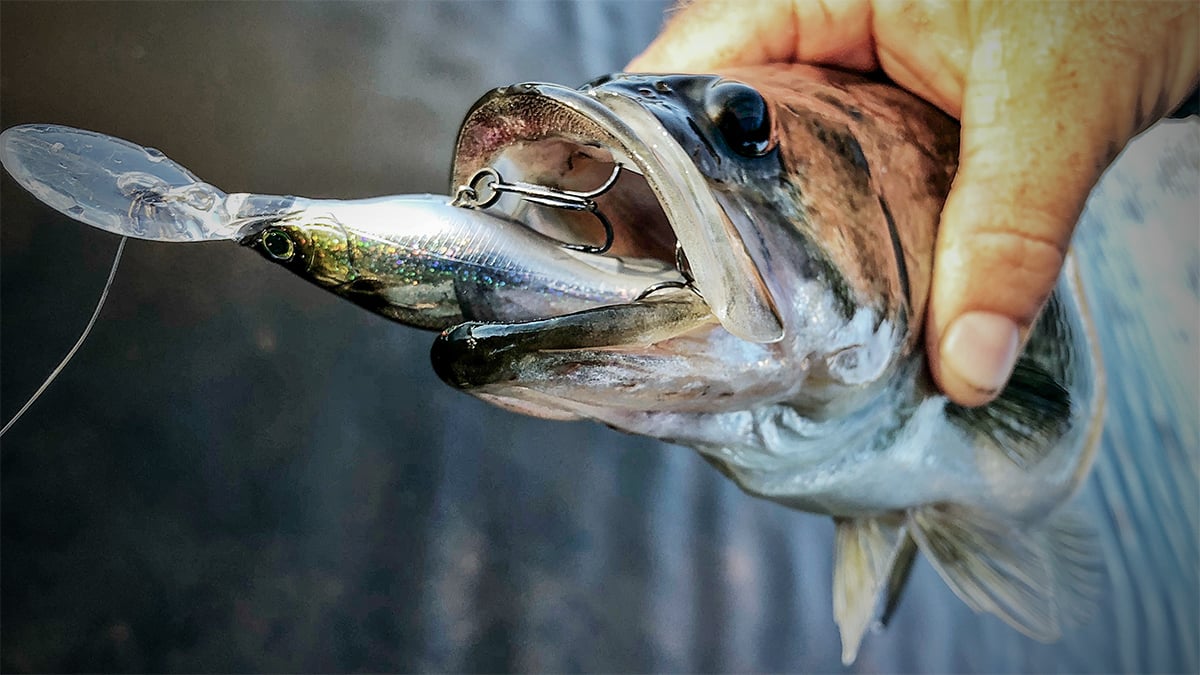 bass with crankbait in mouth