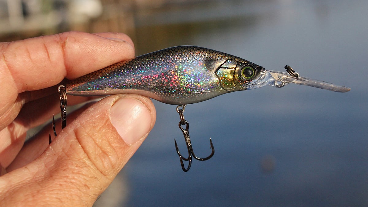 bass fishing crankbait profile