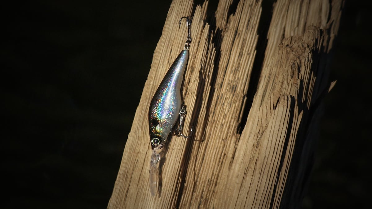 bass fishing lure on a piece of driftwood