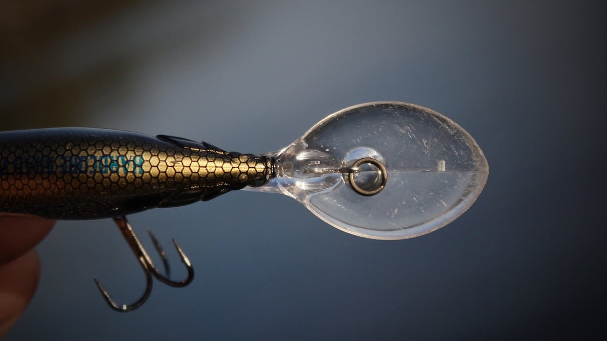the bill of a bass fishing crankbait