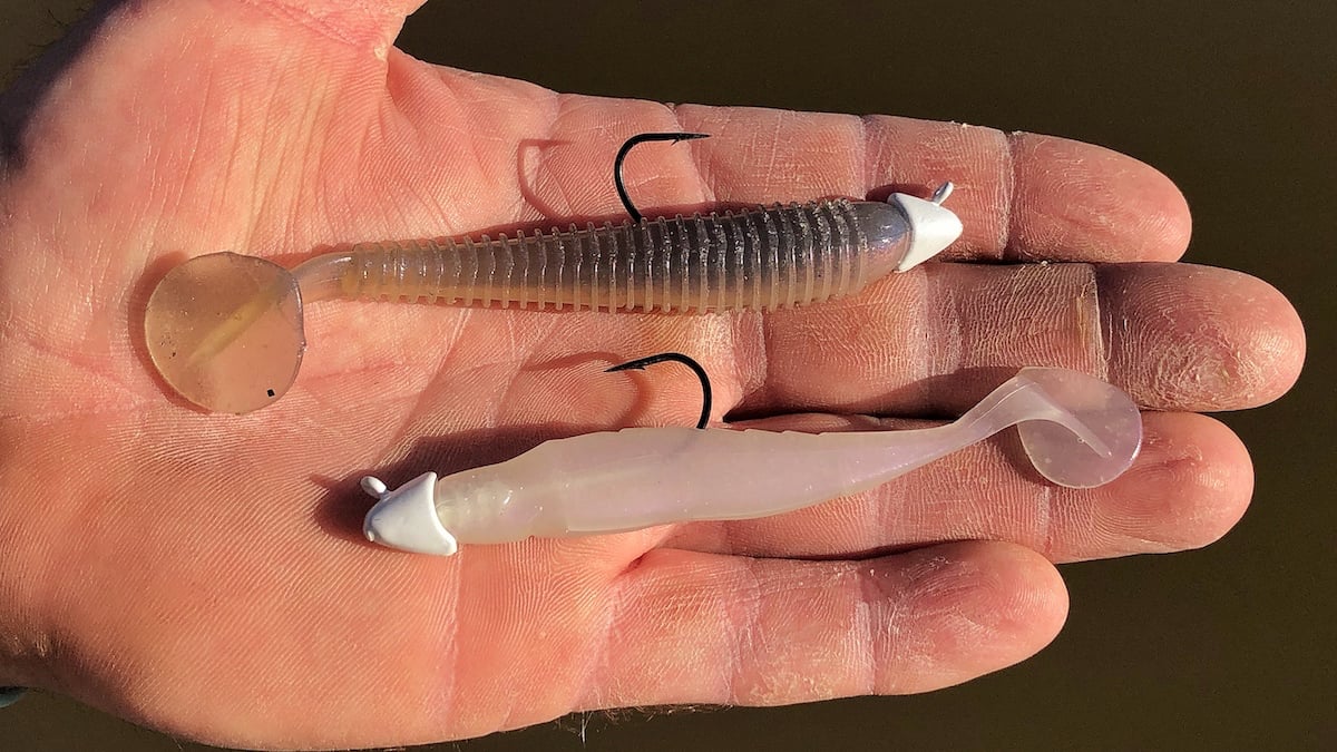 bass fishing swimbaits in hand