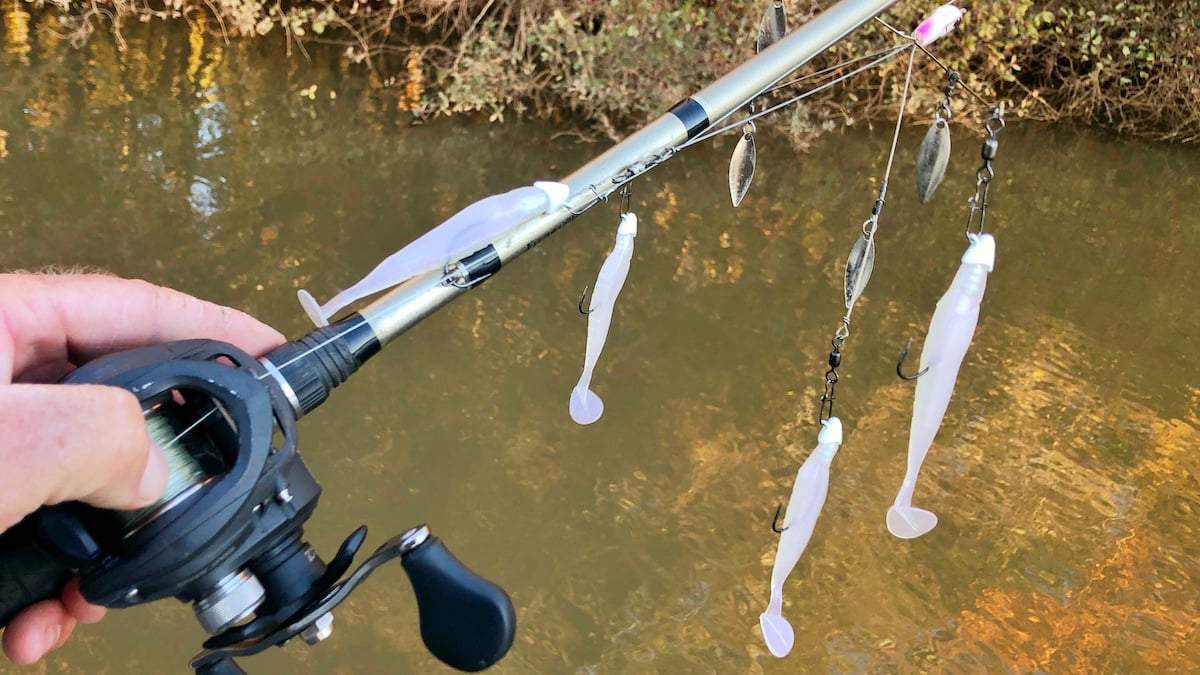 umbrella rig for bass fishing