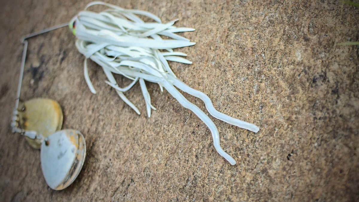 bass fishing spinnerbait with split tail trailer