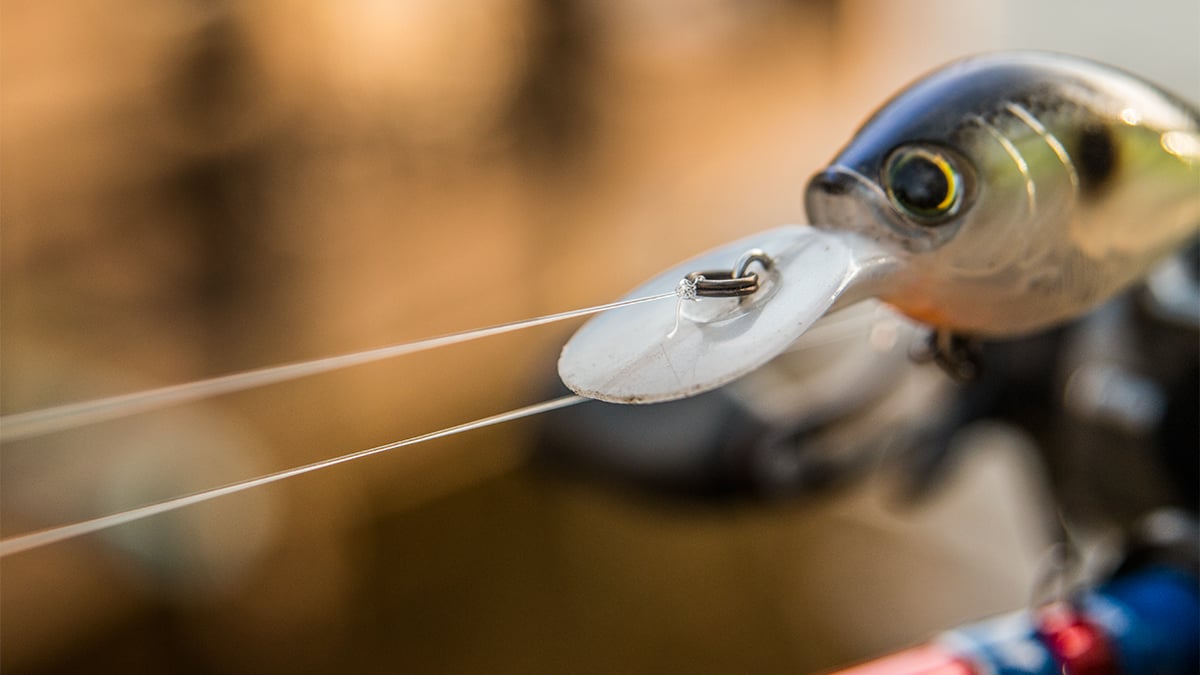 crankbait line for bass fishing