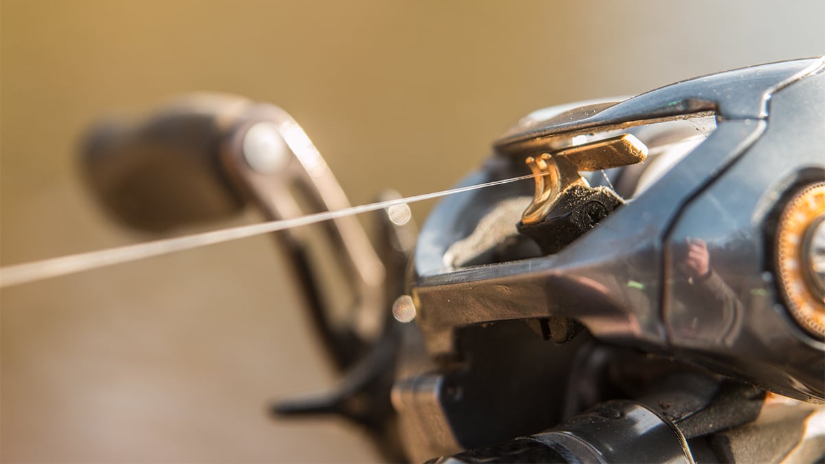 fishing line on a fishing reel