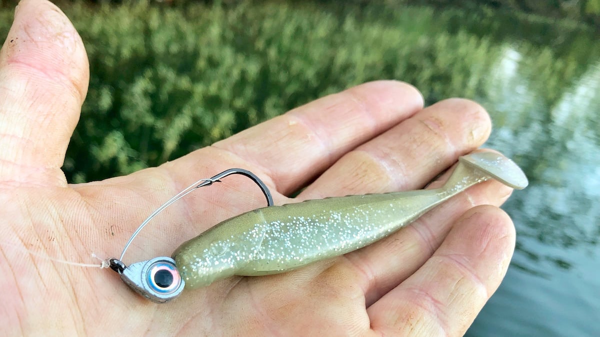 swimbait and jighead in angler