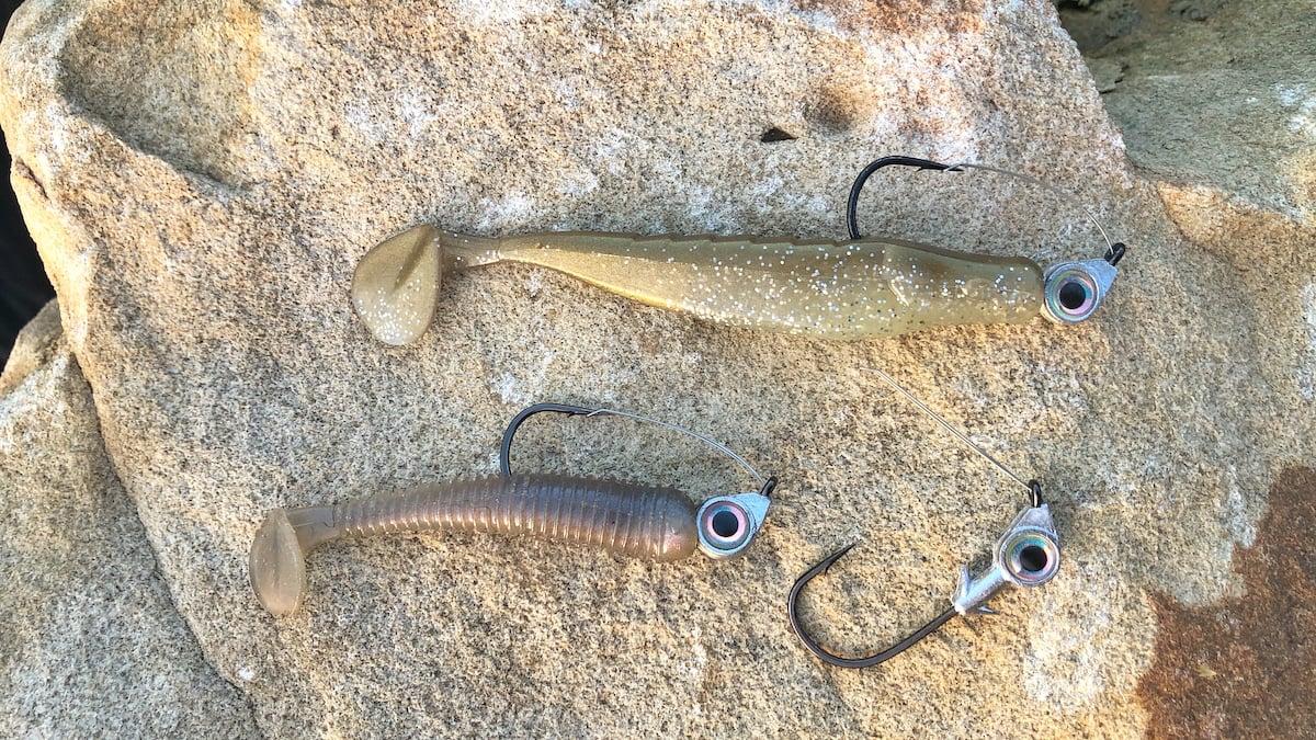bass fishing swimbaits