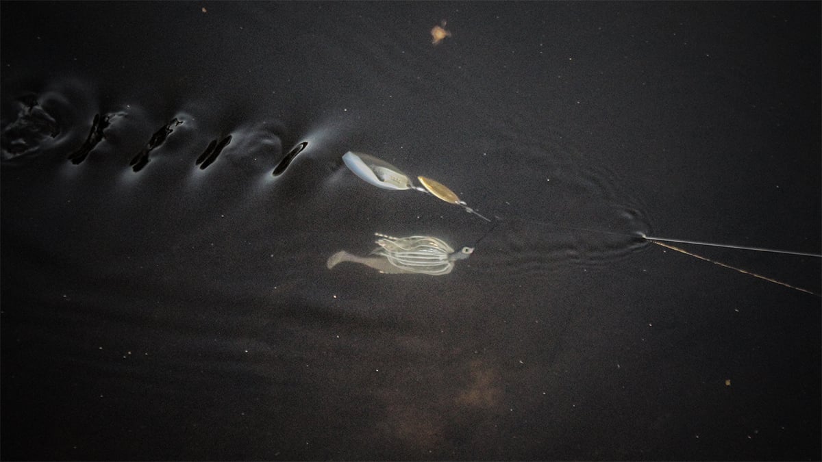 bass fishing spinnerbait in the water